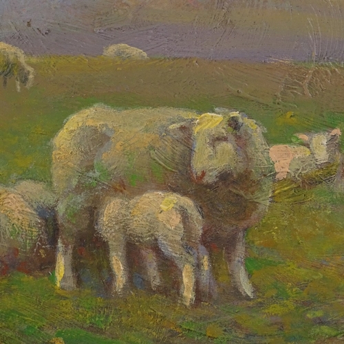 1083 - Fred Hall, oil on board, Downland sheep, signed, 13