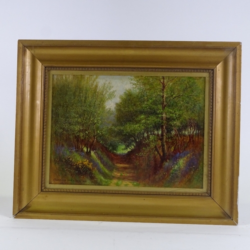 1085 - A Harding Norwood, oil on board, woodland path, signed, 11.5