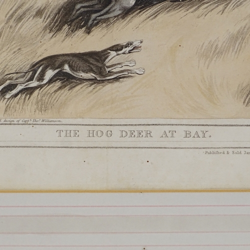 1112 - 19th century aquatint, the hog deer at bay, published 1807, image 13