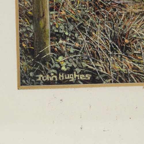 1140 - John Hughes, 2 coloured pastels, rural scenes, 8