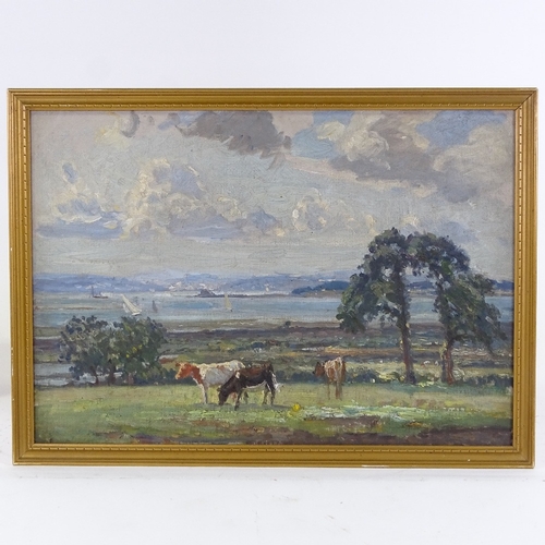 1146 - Mid-20th century oil on board, impressionist landscape with cattle, unsigned, 13.5