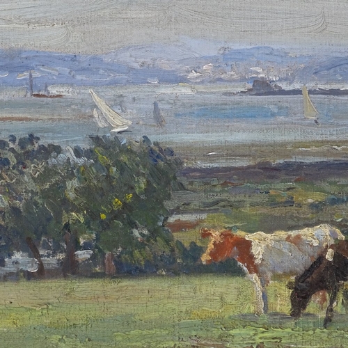 1146 - Mid-20th century oil on board, impressionist landscape with cattle, unsigned, 13.5