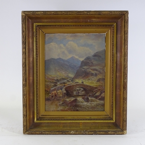 1214 - Wilton Motley, oil on board, cattle in Highlands, signed, 18