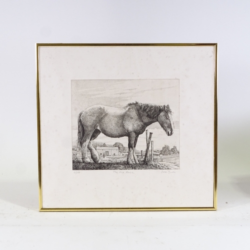 1230 - Simon Bull, etching, the old horse, signed in pencil, plate 10