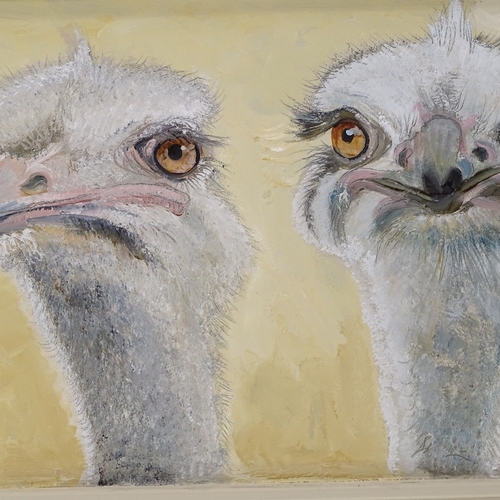 1254 - Clive Fredriksson, oil on board, ostriches, painted frame, overall 17