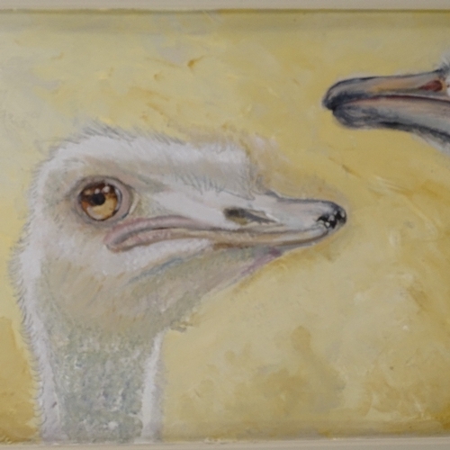 1254 - Clive Fredriksson, oil on board, ostriches, painted frame, overall 17