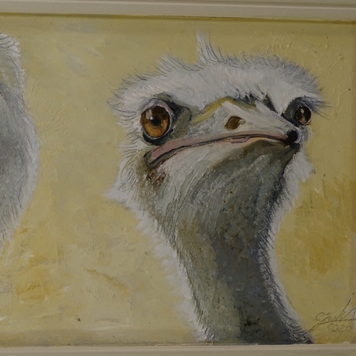 1254 - Clive Fredriksson, oil on board, ostriches, painted frame, overall 17