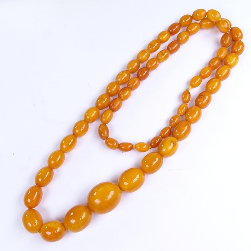 680 - A graduated single row butterscotch amber bead necklace, beads measuring from 11.8mm to 29.7mm, neck... 