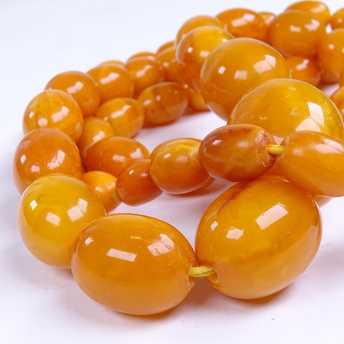 680 - A graduated single row butterscotch amber bead necklace, beads measuring from 11.8mm to 29.7mm, neck... 