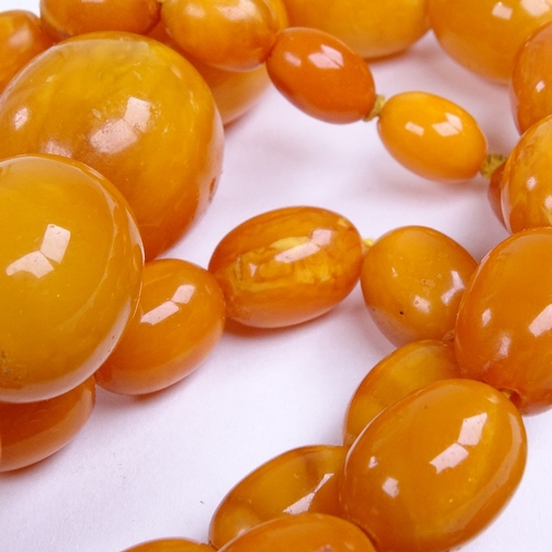 680 - A graduated single row butterscotch amber bead necklace, beads measuring from 11.8mm to 29.7mm, neck... 