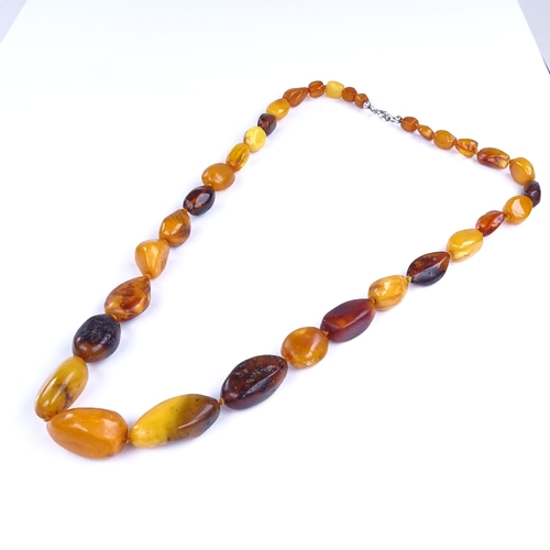 832 - A single-strand specimen Baltic amber bead necklace, necklace length 60cm, 38.3g