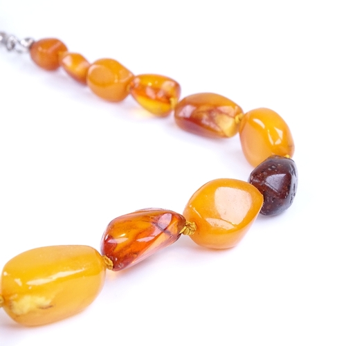 832 - A single-strand specimen Baltic amber bead necklace, necklace length 60cm, 38.3g