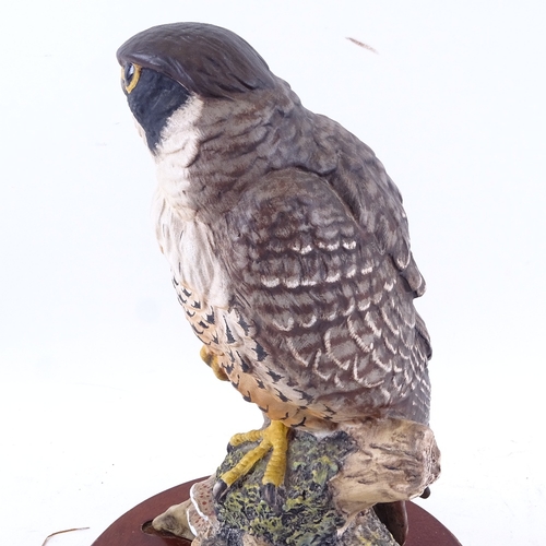 289 - A Royal Doulton peregrine falcon HN3541 sculpture, limited edition no. 362/2500, signed, on fitted b... 