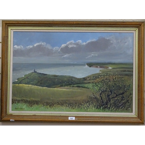 866 - Robert Williams, oil on board, the Seven Sisters, 50cm x 75cm, framed