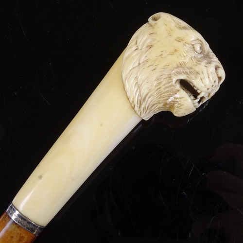 519 - A 19th century walking cane with carved ivory leopard's head handle