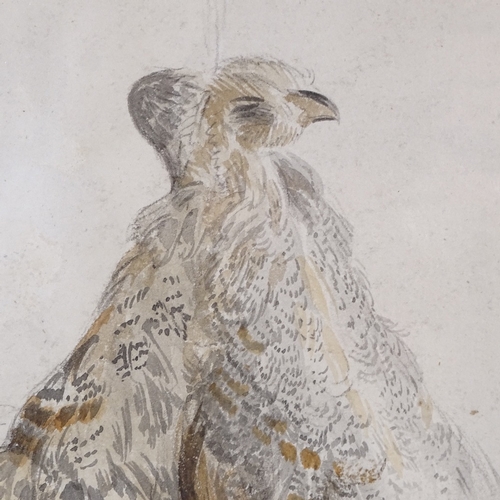 2039 - Edmund Thomas Parris, watercolour/pencil, partridges, 12.5