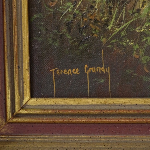 2049 - Terrence Grundy (born 1956), oil on canvas, landscape, signed, 14