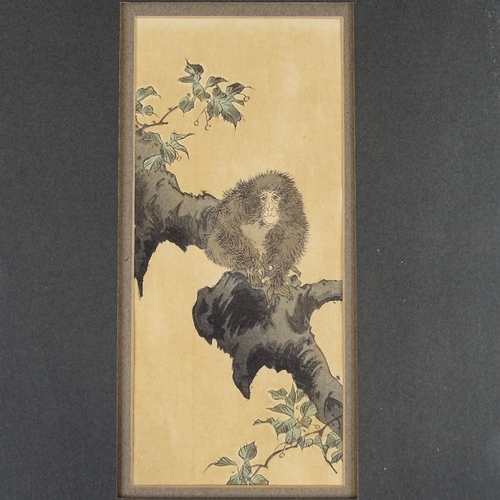 2076 - Koson (1877 - 1945), print, circa 1900, monkey in a tree, 7.5