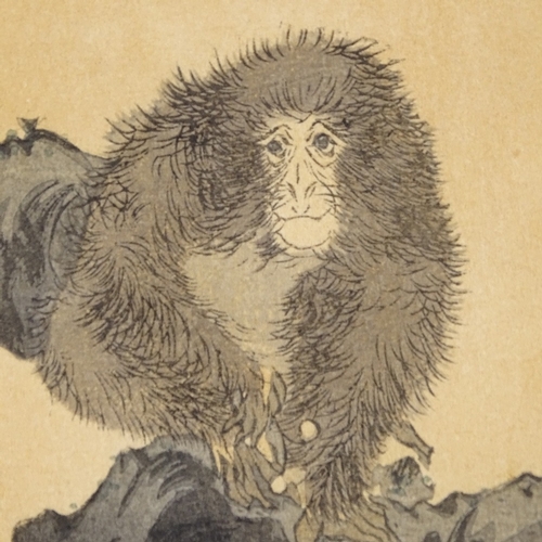 2076 - Koson (1877 - 1945), print, circa 1900, monkey in a tree, 7.5