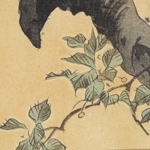 2076 - Koson (1877 - 1945), print, circa 1900, monkey in a tree, 7.5