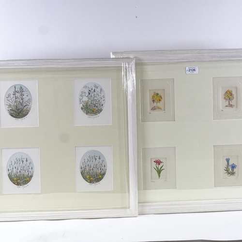 2126 - 2 framed sets of 4 coloured etchings, still life and botanical studies, signed in pencil, overall fr... 