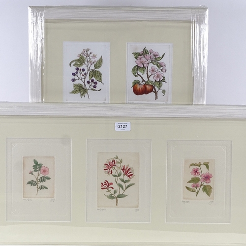 2127 - 2 frames of coloured etchings, botanical studies, signed in pencil, overall frame dimensions 15