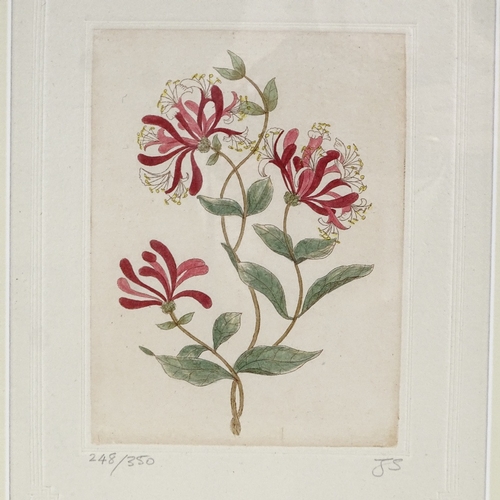 2127 - 2 frames of coloured etchings, botanical studies, signed in pencil, overall frame dimensions 15