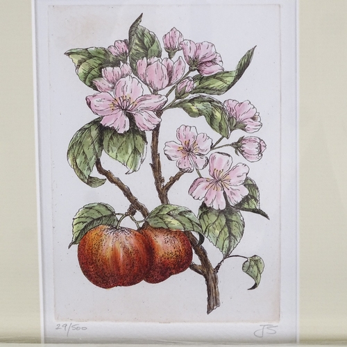 2127 - 2 frames of coloured etchings, botanical studies, signed in pencil, overall frame dimensions 15