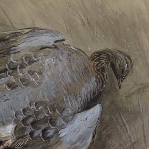 2151 - Sir Peter Scott, watercolour, pink footed goose, signed with monogram dated 1928, 6.5