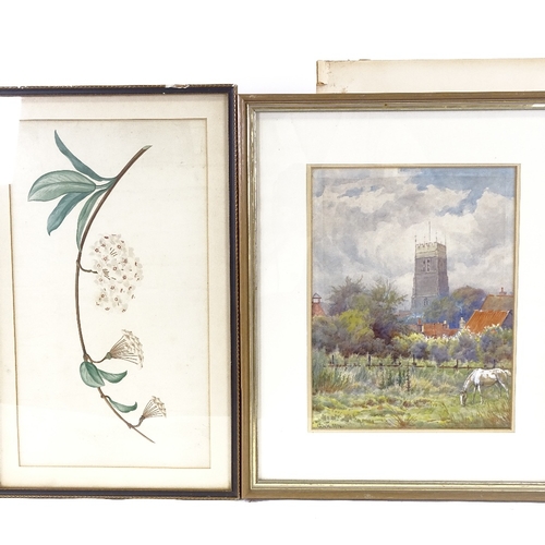 2208 - George Wyllie Hutchinson, 5 watercolours, rural scenes and botanical (5)