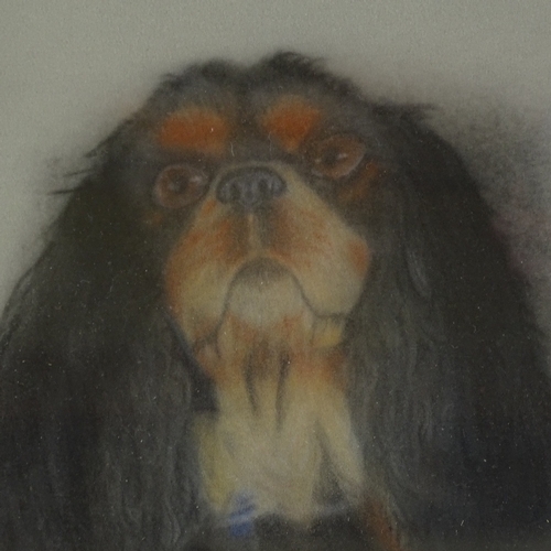 2273 - Pair of coloured pastels, portraits of dogs, unsigned, 10