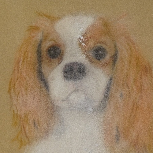 2273 - Pair of coloured pastels, portraits of dogs, unsigned, 10