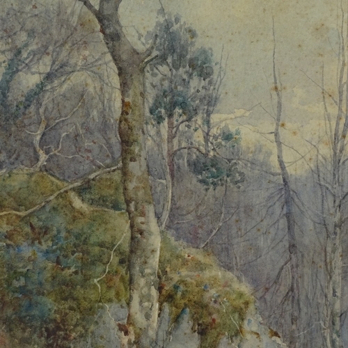 2303 - R W Burdill, watercolour, woodland, 13