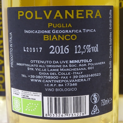 667 - 6 bottles of southern Italian white wine from Puglia,		2016 Polvanera, Minutolo, Puglia, 75cl