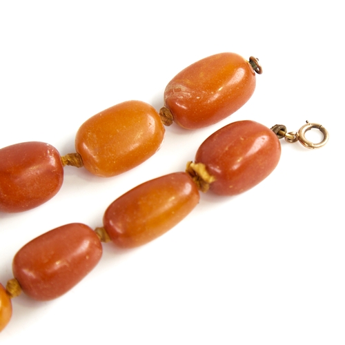 1221 - A long graduated single row butterscotch amber barrel bead necklace, beads measuring from 26.5mm to ... 