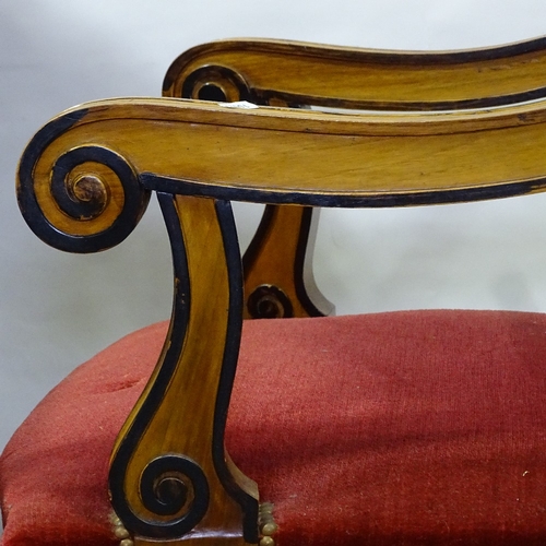 392 - A pair of 19th century walnut and ebonised library armchairs, with acanthus carved arched backs