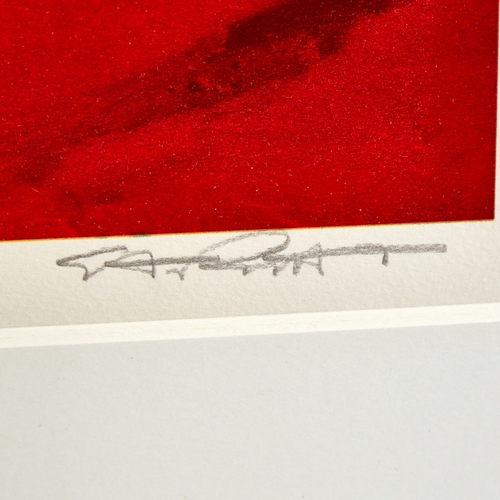 2503 - Stan Rosenthal, colour screen print, red flash, Pencaer, signed in pencil, no. 232/250, image 18