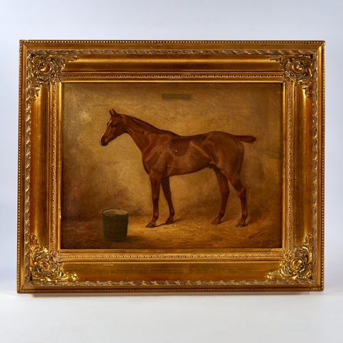 2504 - Arthur Louis Townshend (act. 1880-1912), oil on canvas, portrait of the Chestnut racehorse, Gambler,... 