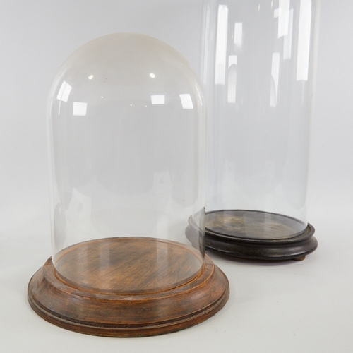 181 - 3 glass domes on turned wood bases, largest height 52cm (3)