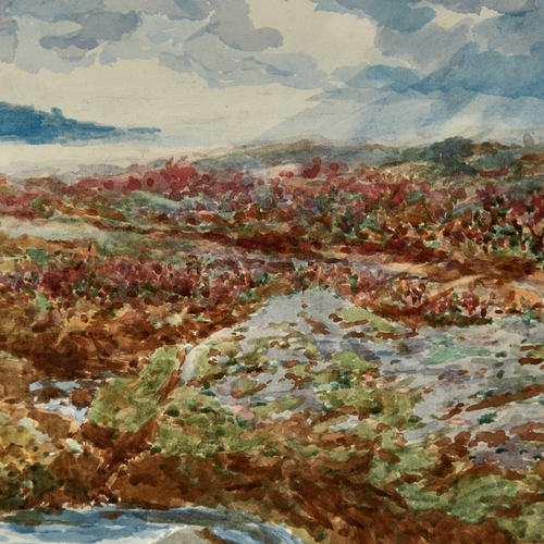 2754 - John Dunning, watercolour, on the Wedlake, Peter Tavey Common, Dartmoor, circa 1910, 14