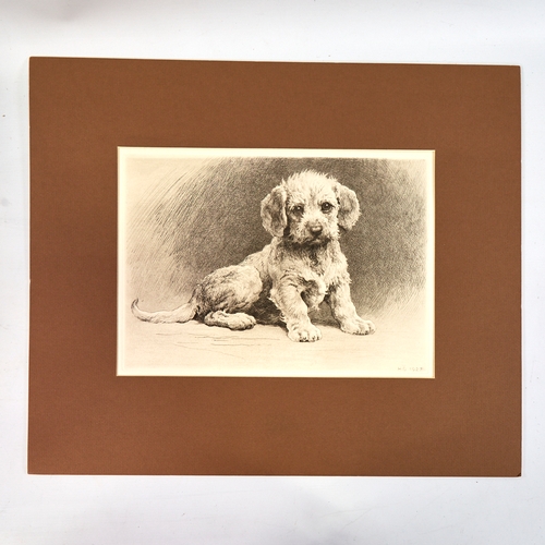 2772 - Herbert Dicksee, etching, Dandie pup, signed in the plate with date 1927, plate size 9.5