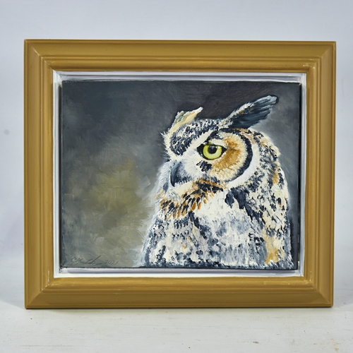 2815 - Clive Fredriksson, oil on panel, long horned owl, 8.5