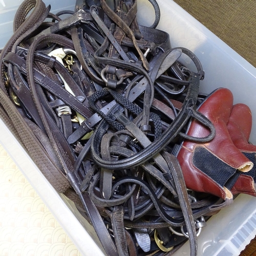 1982 - A quantity of horse riding equipment and accessories, to include 3 leather saddles, bridles, harness... 