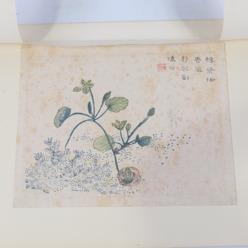 35 - Wang Gai, 18th/19th century print, mustard seed garden, text inscription, 9