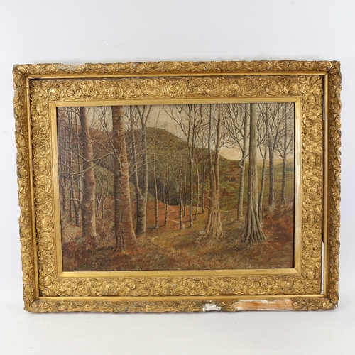 153 - E Alexander Lowe, oil on board, wooded landscape, signed and dated 1950, 17.5