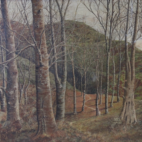 153 - E Alexander Lowe, oil on board, wooded landscape, signed and dated 1950, 17.5