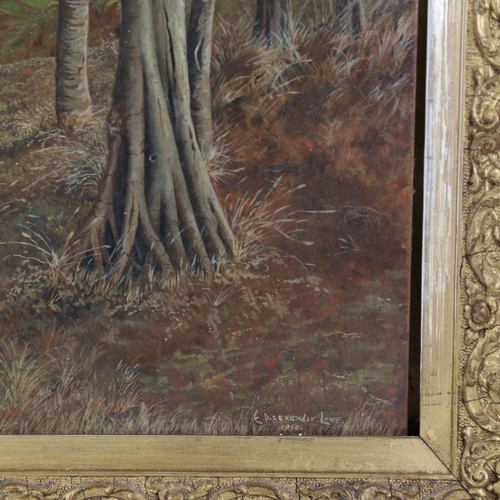 153 - E Alexander Lowe, oil on board, wooded landscape, signed and dated 1950, 17.5