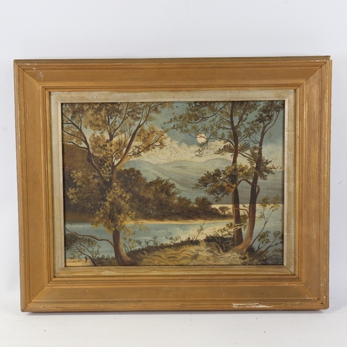 155 - Late 19th century Irish School, oil on canvas, moonlit lake scene Killarney, unsigned, 12