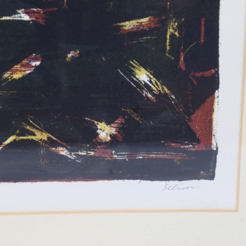 160 - Selim Turan, abstract screen print, signed in pencil, no. 7/100, image 11