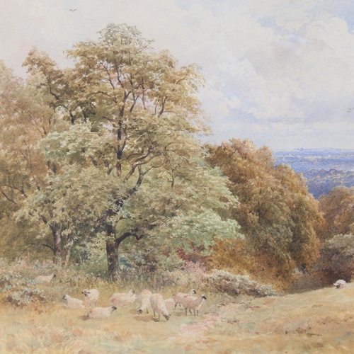 161 - Sutton Palmer, watercolour, sheep in landscape, signed and dated 1884, 9.5